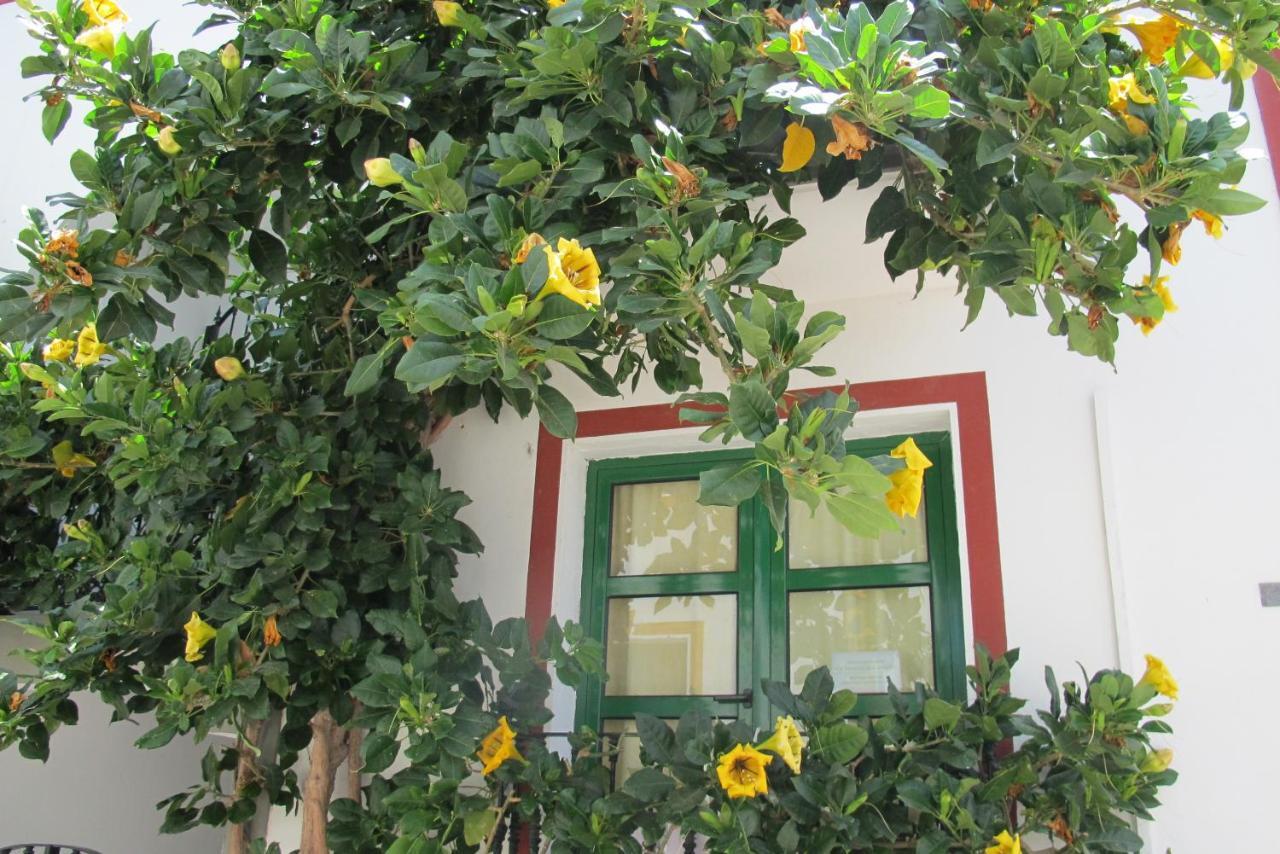 Casa Mari Playa De Mogan Villa Puerto De Mogan Exterior photo